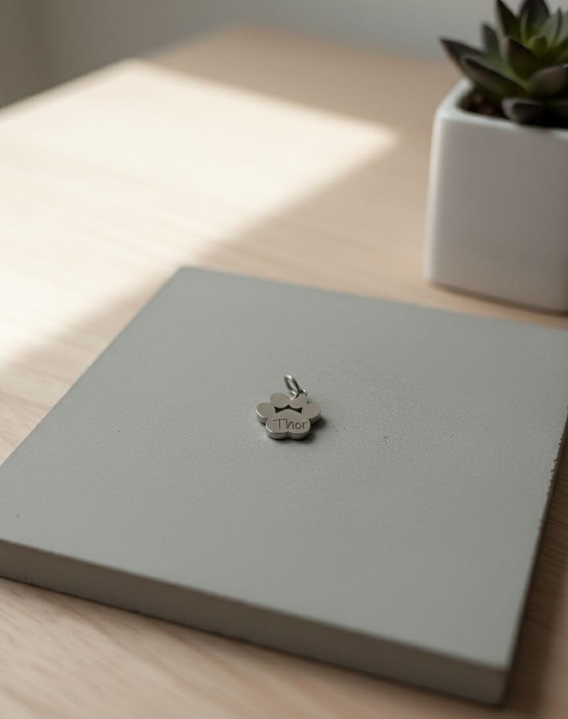 Dije huella animal - 3