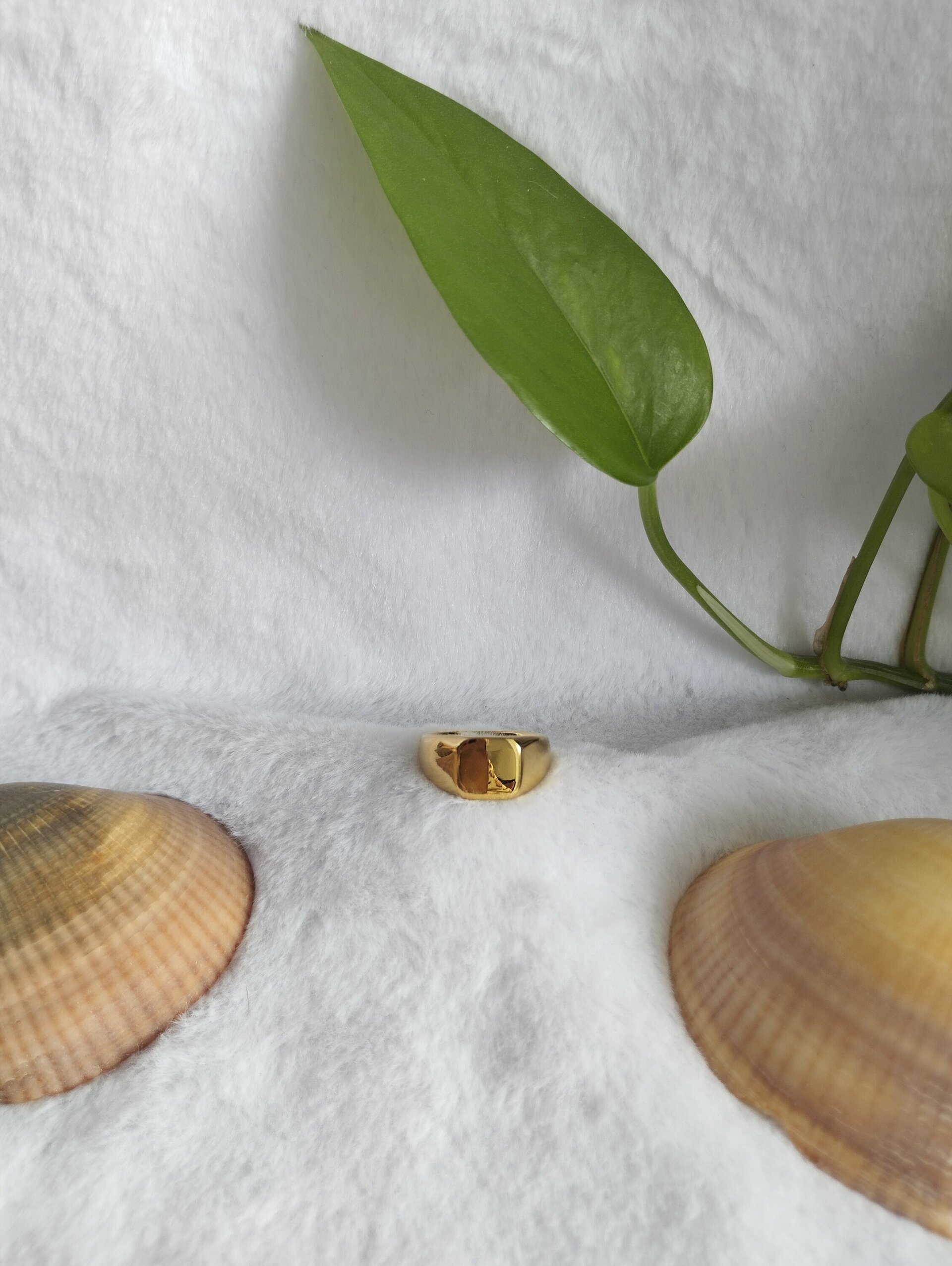 Anillo cuadrado - 2