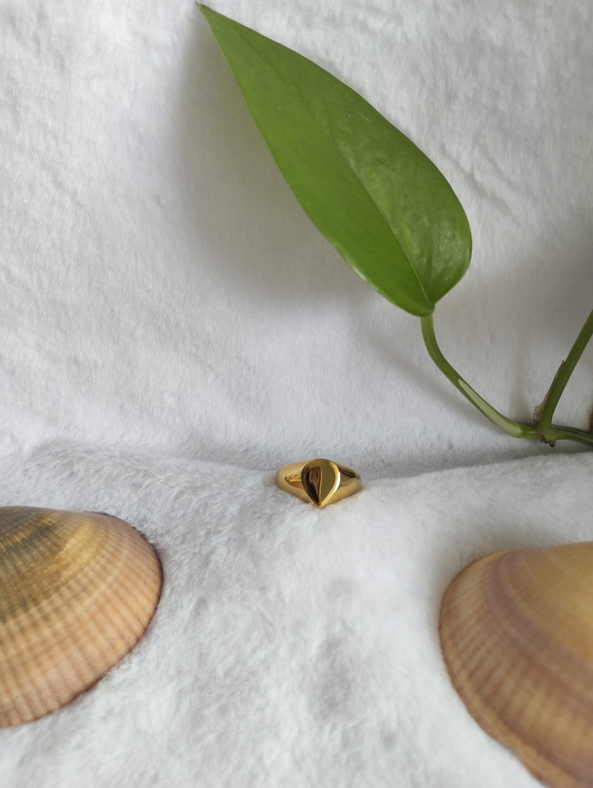 Anillo gota (personalizable) - 2