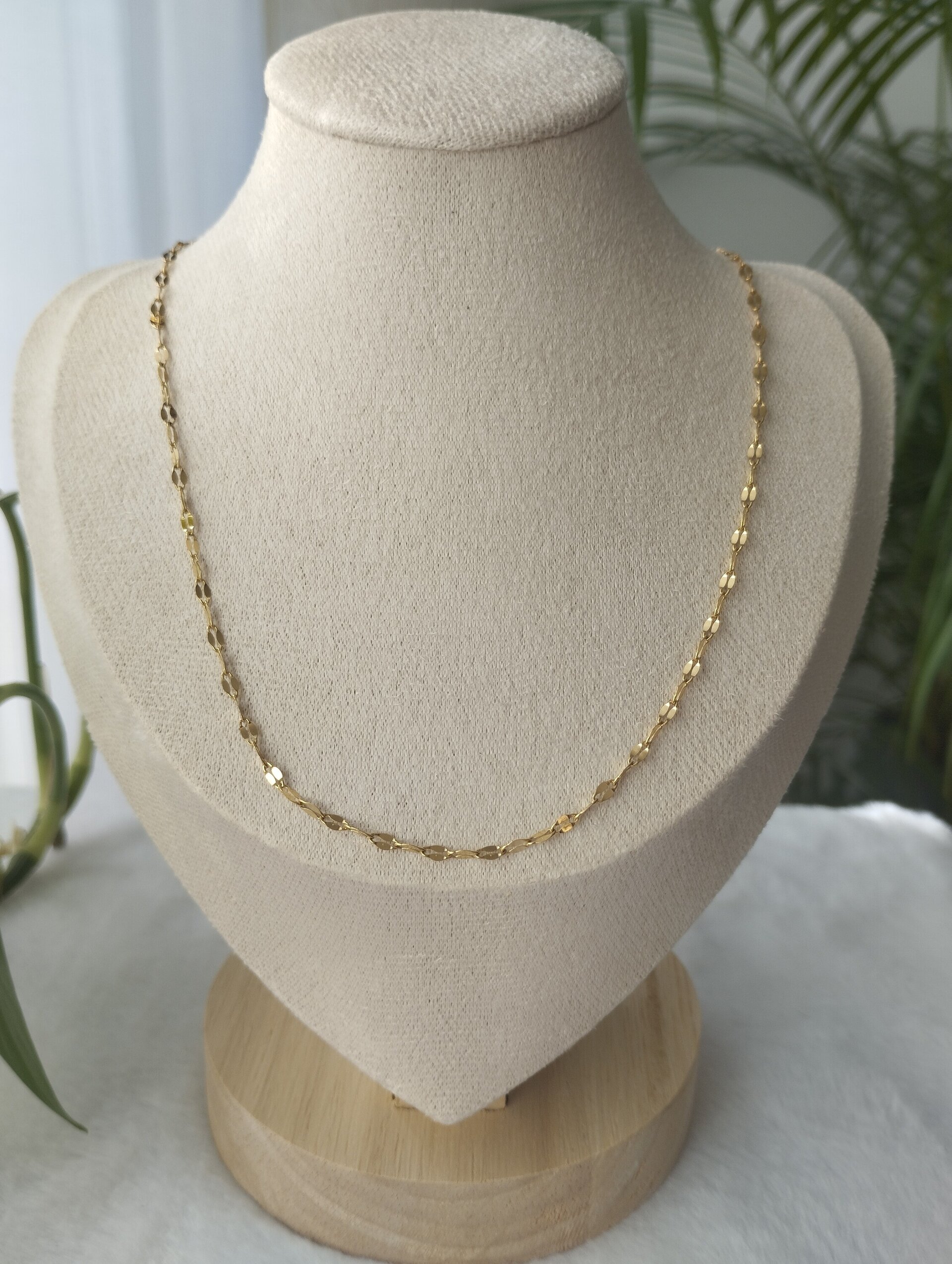 Cadena solei dorada - 2