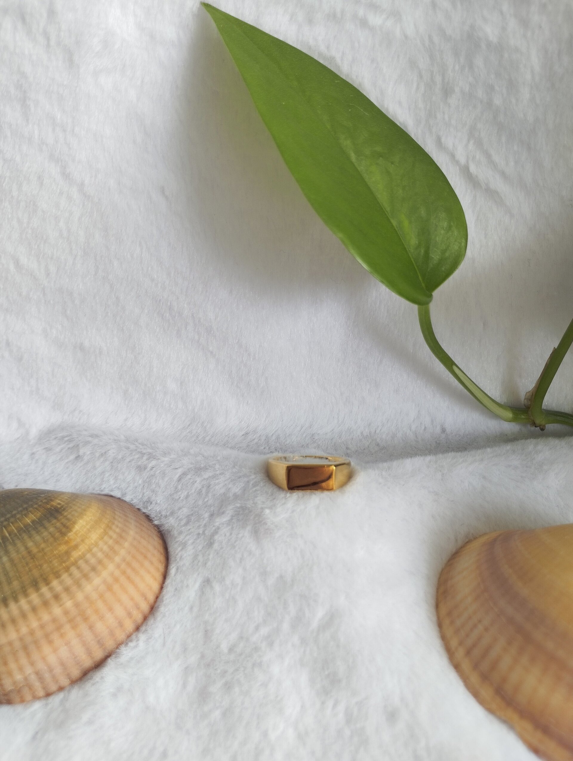 Anillo rectangular (personalizable) - 2