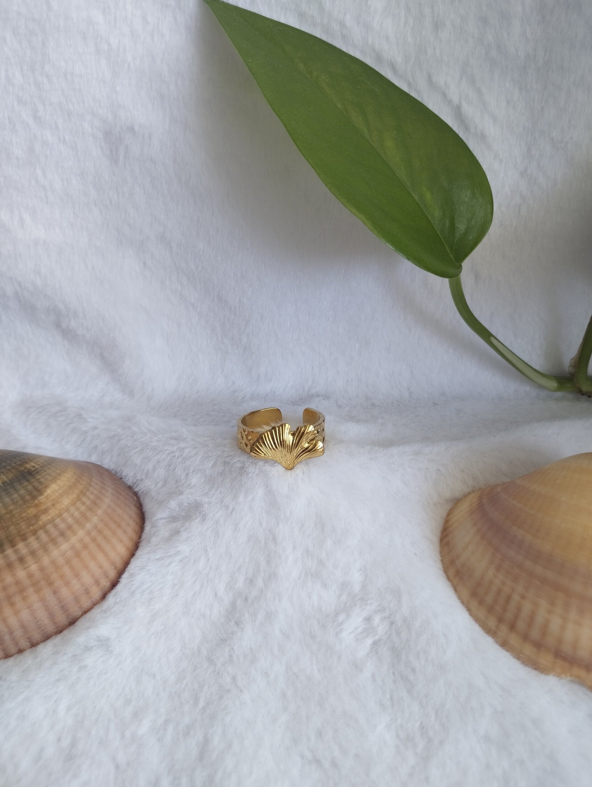 Anillo coral marino - 2