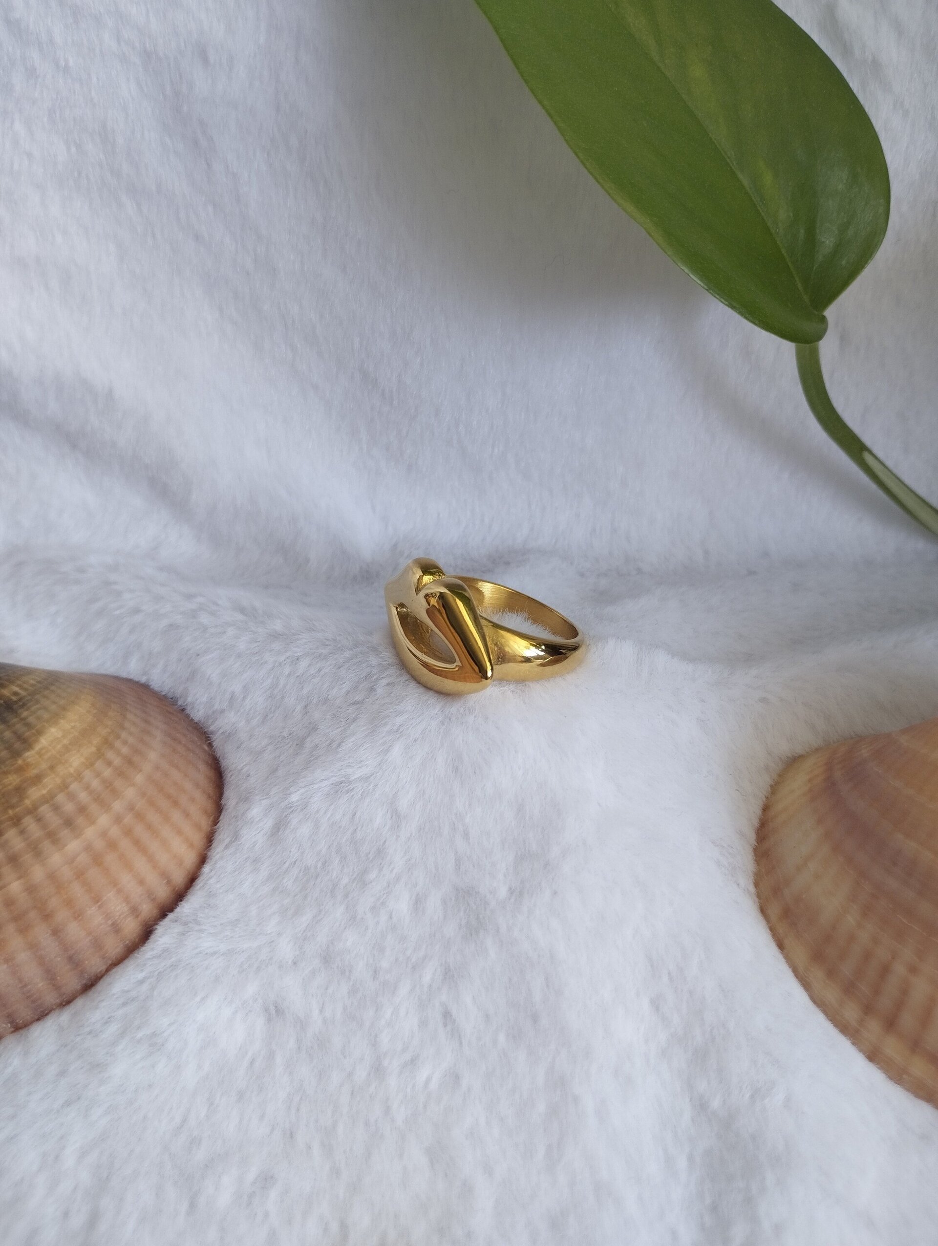 Anillo labio - 2