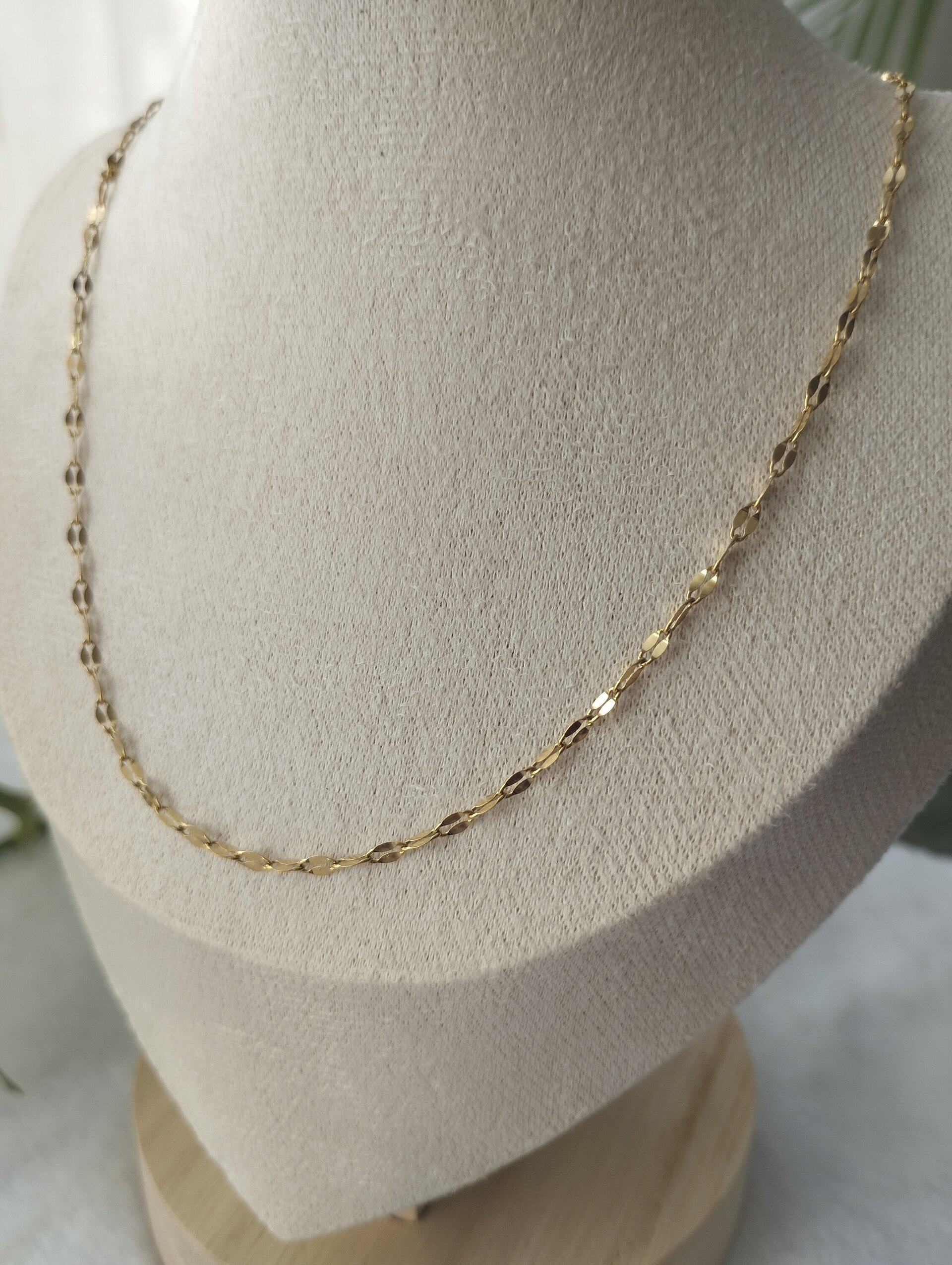 Cadena solei dorada - 4